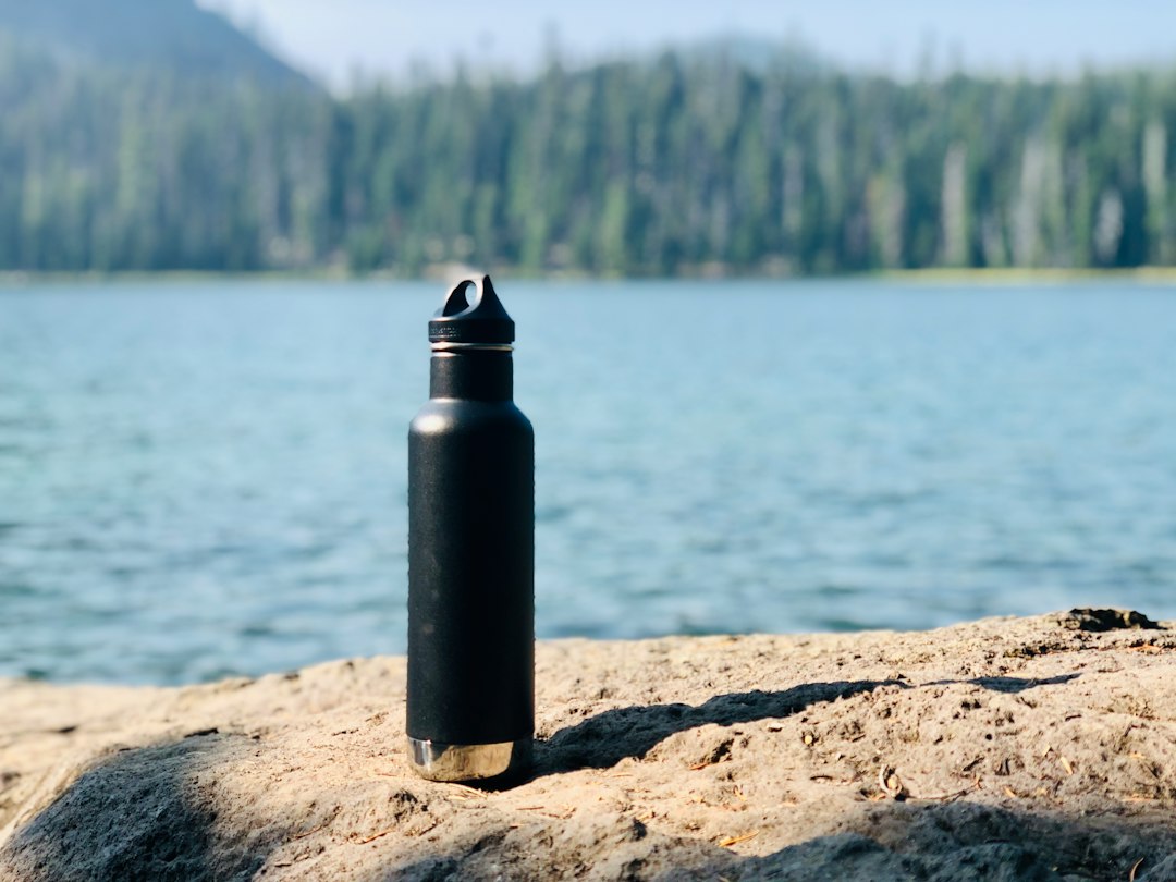 Photo by Brooks Rice on Unsplash (https://unsplash.com/@brooksrice)