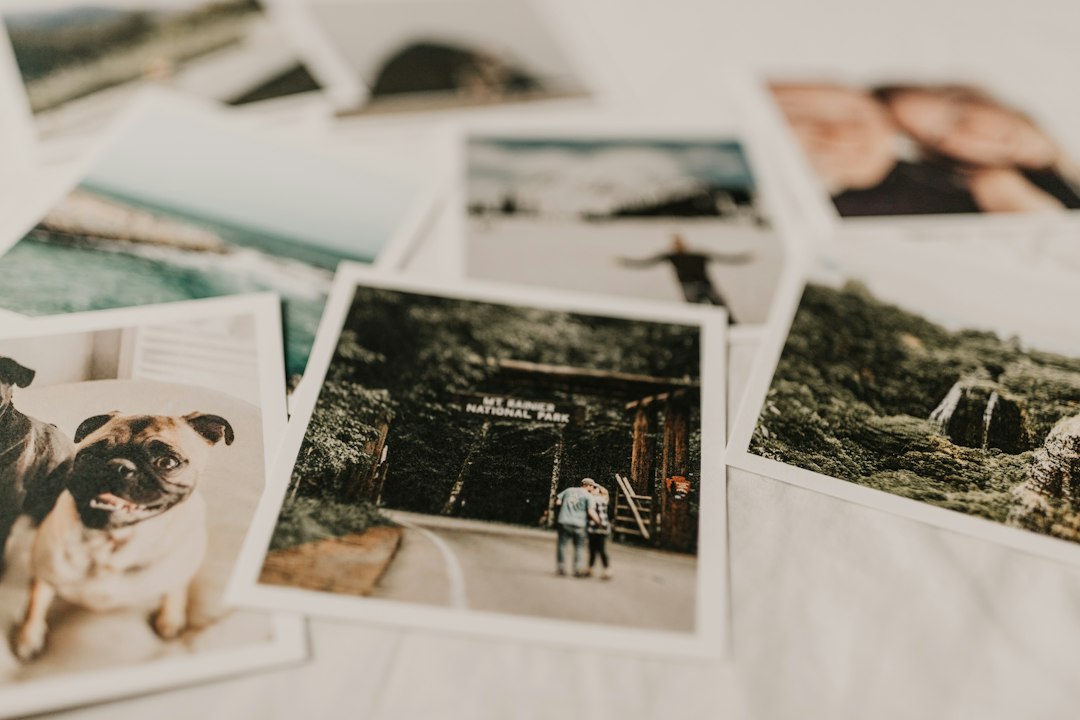 Photo by sarandy westfall on Unsplash (https://unsplash.com/@sarandywestfall_photo)